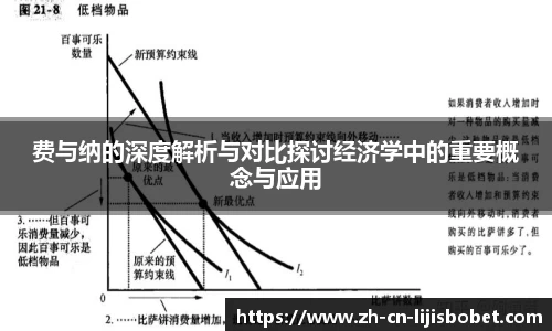 费与纳的深度解析与对比探讨经济学中的重要概念与应用